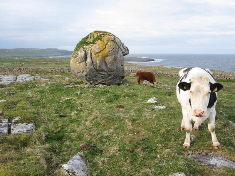 Lanelodge Doolin Εξωτερικό φωτογραφία