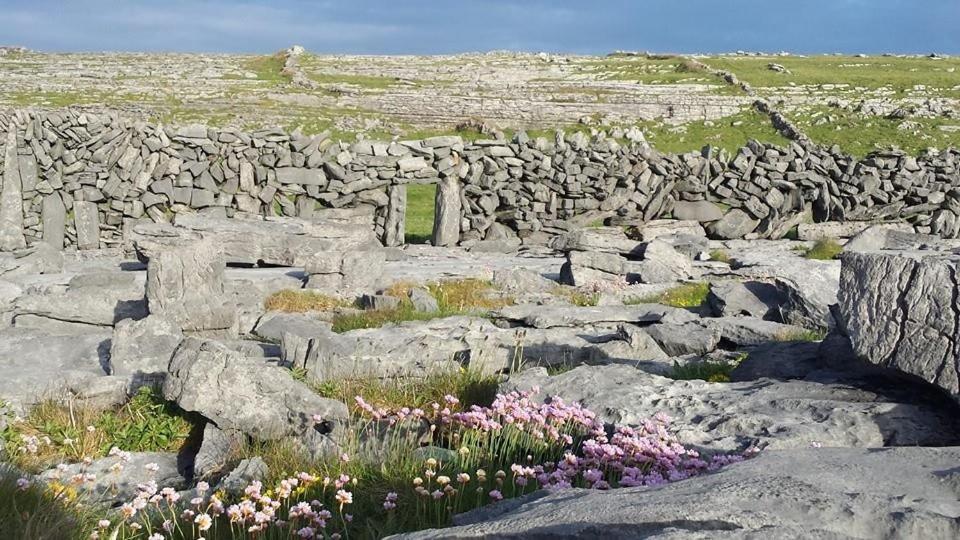 Lanelodge Doolin Εξωτερικό φωτογραφία