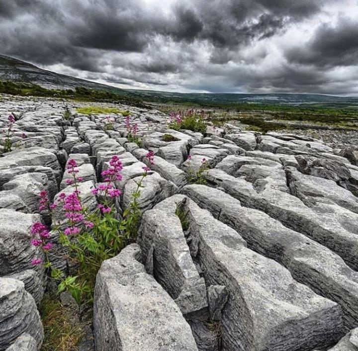 Lanelodge Doolin Εξωτερικό φωτογραφία
